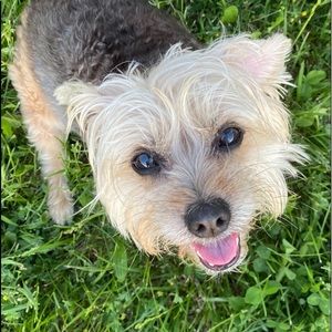 Meet your Posher, Stacie